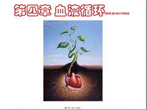 2022年醫(yī)學(xué)專題—4血液循環(huán)(已修改)