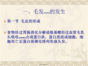 2022年醫(yī)學(xué)專題—皮膚的附屬器官-毛發(fā)-免費(fèi)閱讀