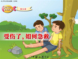 2022年醫(yī)學(xué)專題—受了傷-如何急救-免費閱讀
