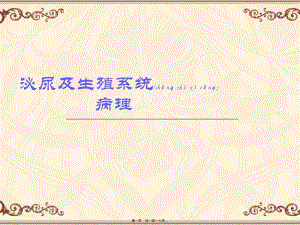2022年醫(yī)學(xué)專題—泌尿與生殖系統(tǒng)-wenkub