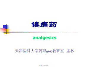 2022年醫(yī)學(xué)專題—第19節(jié)--鎮(zhèn)痛藥-資料下載頁
