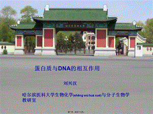 蛋白質(zhì)與dna的相互作用(更新版)