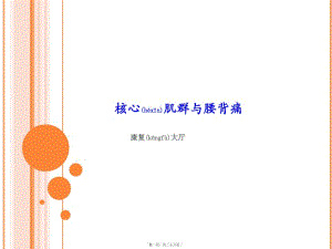 2022年醫(yī)學(xué)專題—核心肌群與腰背痛-wenkub