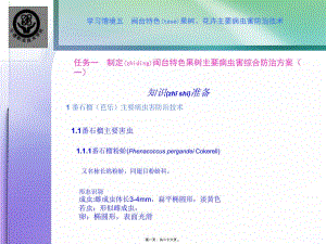 2022年醫(yī)學專題—杧果主要病蟲害防治技術(更新版)