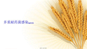2022年醫(yī)學(xué)專題—多重耐藥菌感染-展示頁
