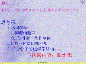 2022年醫(yī)學(xué)專題—《組織胚胎學(xué)》-軟骨和骨-免費(fèi)閱讀