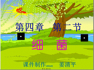 2022年醫(yī)學(xué)專題—42細(xì)菌(課改)-資料下載頁