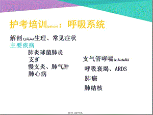 2022年醫(yī)學(xué)專題—護(hù)考呼吸系統(tǒng)-預(yù)覽頁