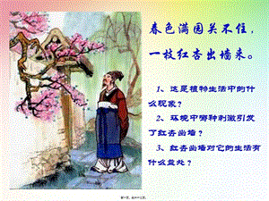 12植物生命活動(dòng)的調(diào)節(jié)-文庫吧