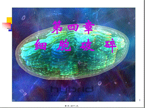 2022年醫(yī)學(xué)專題—第四章-細胞破碎-閱讀頁