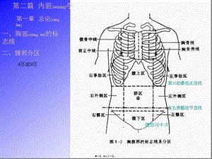 2022年醫(yī)學(xué)專題—篇-內(nèi)臟學(xué)-第一張總論(文件)