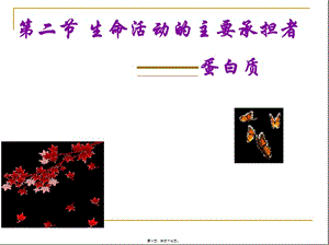 22-生命活動(dòng)的主要承擔(dān)者——蛋白質(zhì)1(編輯修改稿)