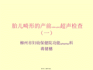 2022年醫(yī)學專題—胎兒畸形產(chǎn)前超聲檢查一-資料下載頁
