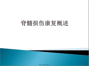 2022年醫(yī)學(xué)專(zhuān)題—脊髓損傷(最終版)(編輯修改稿)