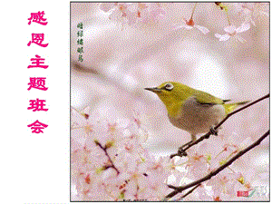 908班感恩主題班會-在線瀏覽