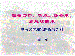 2022年醫(yī)學專題—腹壁切口-預(yù)覽頁
