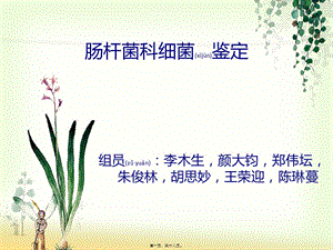 2022年醫(yī)學(xué)專(zhuān)題—腸桿菌科細(xì)菌鑒定(專(zhuān)業(yè)版)
