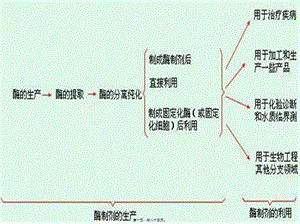 2022年醫(yī)學(xué)專題—酶、細(xì)胞、原生質(zhì)體固定化-文庫(kù)吧在線文庫(kù)