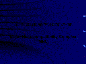 mhc主要組織相容性復(fù)合體(編輯修改稿)