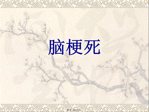 2022年醫(yī)學(xué)專題—腦梗死-(1)(留存版)
