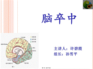 2022年醫(yī)學(xué)專題—腦卒中-終(留存版)