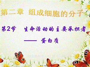 22生命活動(dòng)的主要承擔(dān)者---蛋白質(zhì)(編輯修改稿)