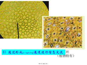 2022年醫(yī)學(xué)專題—第3章2節(jié)細(xì)胞質(zhì)-資料下載頁