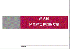 世聯(lián)-某項目陌生拜訪和團購方案-62p-拜訪流程-拜訪技巧-在線瀏覽