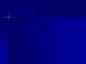 4-組織體系(完整版)