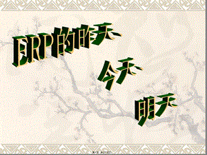 erp宣傳-wenkub.com
