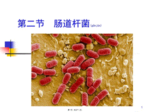 2022年醫(yī)學(xué)專題—第五章第二節(jié)腸道桿菌-閱讀頁
