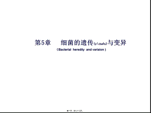2022年醫(yī)學(xué)專題—第5章--細(xì)菌的遺傳與變異(2010版)(存儲版)