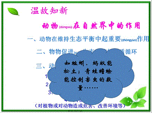 2022年醫(yī)學(xué)專題—第一節(jié)-細(xì)菌和真菌的分布ppt-全文預(yù)覽