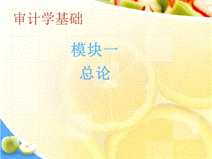 0審計(jì)學(xué)基礎(chǔ)總論-免費(fèi)閱讀