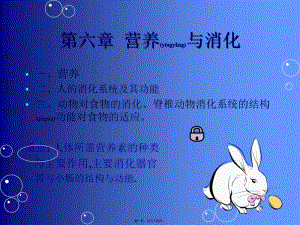 2022年醫(yī)學專題—第6章營養(yǎng)與消化-文庫吧