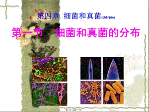 2022年醫(yī)學專題—第六單元第一章第一節(jié)細菌和真菌的分布-在線瀏覽