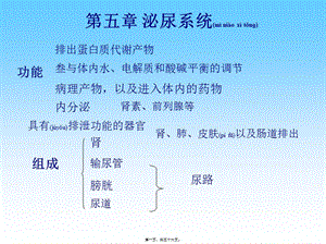 2022年醫(yī)學(xué)專題—第二篇之泌尿生殖系統(tǒng)-閱讀頁