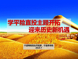 學(xué)平險直投方案ppt(專業(yè)版)