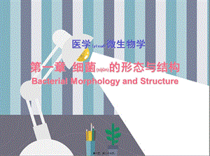 2022年醫(yī)學(xué)專題—第一章-細(xì)菌的形態(tài)與結(jié)構(gòu)-閱讀頁