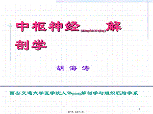 2022年醫(yī)學(xué)專題—腦泡的發(fā)育(留存版)