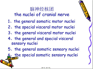 2022年醫(yī)學(xué)專題—腦干的內(nèi)部結(jié)構(gòu)(編輯修改稿)