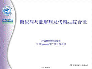 2022年醫(yī)學(xué)專題—糖尿病防治指南4-全文預(yù)覽