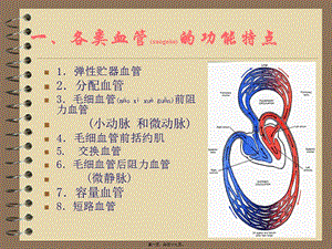2022年醫(yī)學(xué)專題—第四章-循環(huán)系統(tǒng)(血管生理)(完整版)