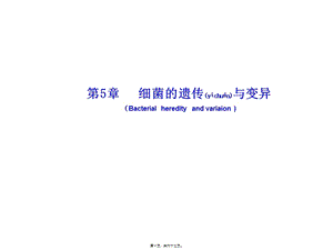 2022年醫(yī)學(xué)專題—第5章--細(xì)菌的遺傳與變異(存儲版)