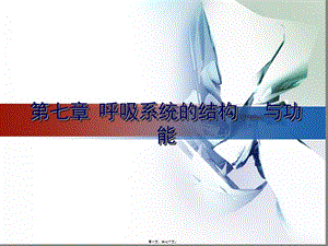 2022年醫(yī)學(xué)專題—第七章-呼吸系統(tǒng)的結(jié)構(gòu)與功能分解(已修改)