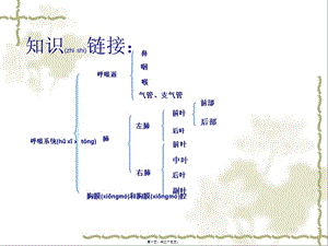 2022年醫(yī)學(xué)專題—第一章第二節(jié)豬的內(nèi)臟：泌尿系統(tǒng)(已修改)