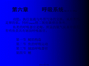2022年醫(yī)學(xué)專題—第六章--呼吸系統(tǒng)(編輯修改稿)