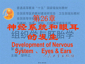 2022年醫(yī)學(xué)專題—腦神經(jīng)系統(tǒng)-神經(jīng)系統(tǒng)和眼耳的發(fā)生-免費(fèi)閱讀