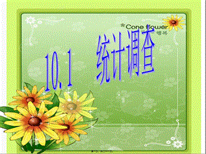 101統(tǒng)計(jì)調(diào)查(一)(專業(yè)版)