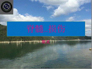 2022年醫(yī)學(xué)專(zhuān)題—脊髓損傷(編輯修改稿)